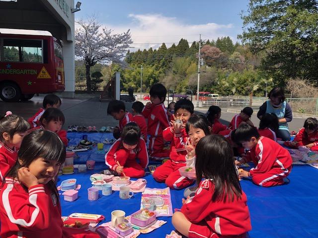 年長さんは・・・お花見ランチ!!