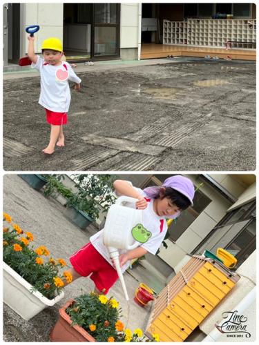 気まぐれフォト*^^*