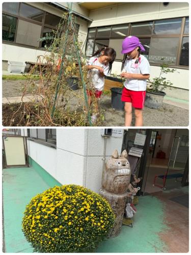 >大きなお花にみんなびっくり！！
