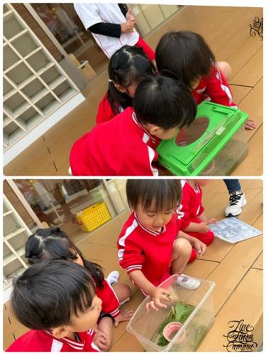 気まぐれフォト*^^*