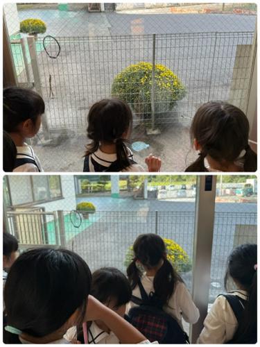 大きなお花にみんなびっくり！！