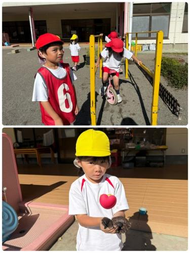 気まぐれフォト*^^*