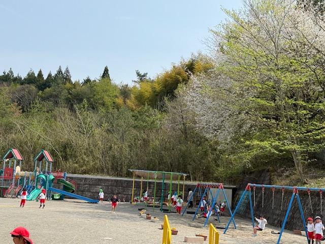 ウエルカムパーティーと園庭と～お花＊