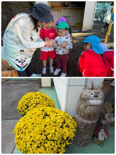 気まぐれフォト*^^*