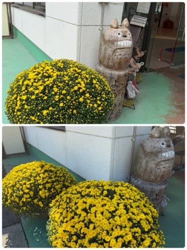 写真館へようこそ～*（笑）